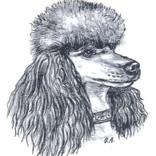 Pudelclub beider Basel